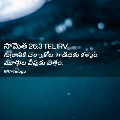 Picture 02 - సామెత 26:3 TELIRV - గుర్రానికి - Bible Verse Picture