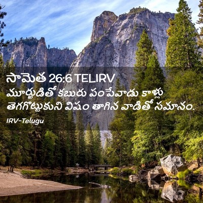 Picture 02 - సామెత 26:6 TELIRV - మూర్ఖుడితో కబురు - Bible Verse Picture