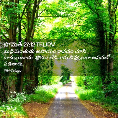 Picture 02 - సామెత 27:12 TELIRV - బుద్ధిమంతుడు - Bible Verse Picture
