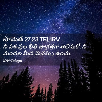 Picture 02 - సామెత 27:23 TELIRV - నీ పశువుల స్థితి - Bible Verse Picture