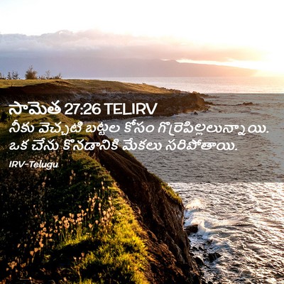 Picture 02 - సామెత 27:26 TELIRV - నీకు వెచ్చటి - Bible Verse Picture