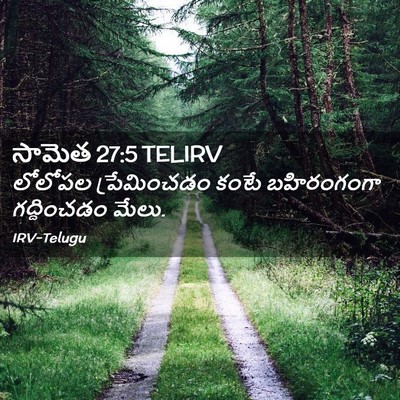 Picture 02 - సామెత 27:5 TELIRV - లోలోపల ప్రేమించడం - Bible Verse Picture