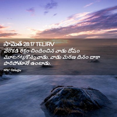 Picture 02 - సామెత 28:17 TELIRV - వేరొకడి రక్తం - Bible Verse Picture