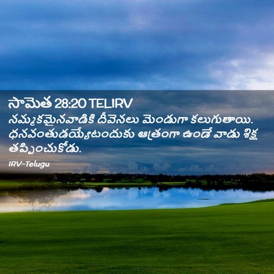 Picture 02 - సామెత 28:20 TELIRV - నమ్మకమైనవాడికి - Bible Verse Picture