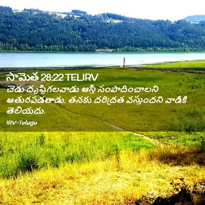 Picture 02 - సామెత 28:22 TELIRV - చెడు దృష్టిగలవాడు - Bible Verse Picture