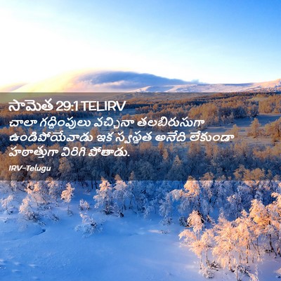 Picture 02 - సామెత 29:1 TELIRV - చాలా గద్దింపులు - Bible Verse Picture