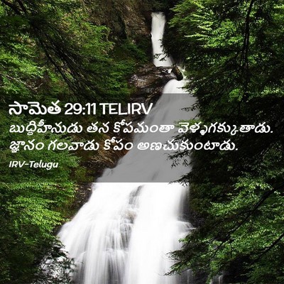 Picture 02 - సామెత 29:11 TELIRV - బుద్ధిహీనుడు తన - Bible Verse Picture