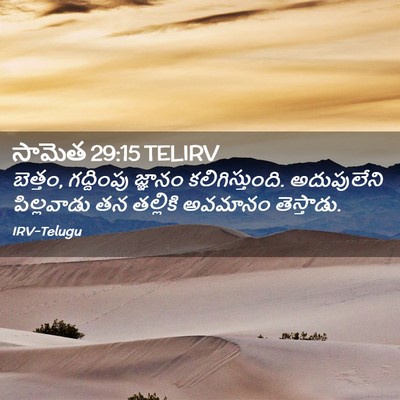 Picture 02 - సామెత 29:15 TELIRV - బెత్తం, గద్దింపు - Bible Verse Picture