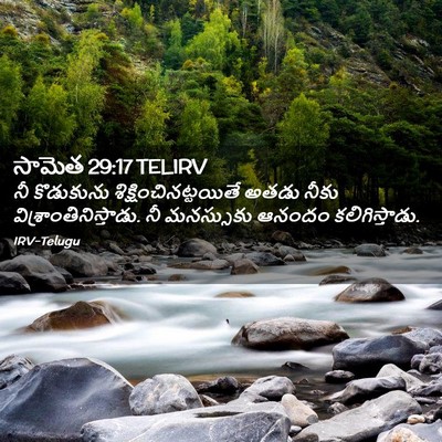Picture 02 - సామెత 29:17 TELIRV - నీ కొడుకును - Bible Verse Picture