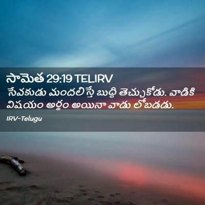 Picture 02 - సామెత 29:19 TELIRV - సేవకుడు మందలిస్తే - Bible Verse Picture