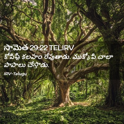 Picture 02 - సామెత 29:22 TELIRV - కోపిష్టి కలహం - Bible Verse Picture