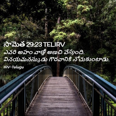 Picture 02 - సామెత 29:23 TELIRV - ఎవరి అహం వాణ్ణి - Bible Verse Picture