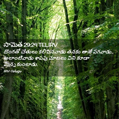 Picture 02 - సామెత 29:24 TELIRV - దొంగతో చేతులు - Bible Verse Picture