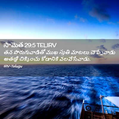 Picture 02 - సామెత 29:5 TELIRV - తన పొరుగువాడితో - Bible Verse Picture