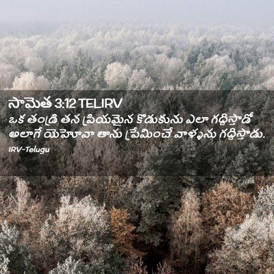 Picture 02 - సామెత 3:12 TELIRV - ఒక తండ్రి తన - Bible Verse Picture