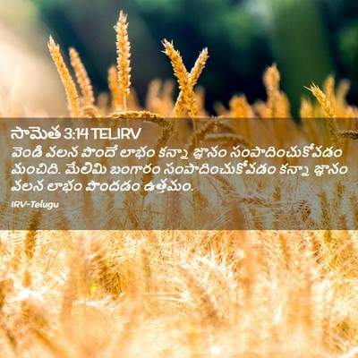 Picture 02 - సామెత 3:14 TELIRV - వెండి వలన పొందే - Bible Verse Picture