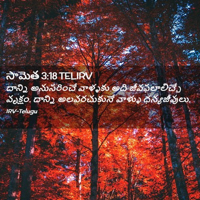 Picture 02 - సామెత 3:18 TELIRV - దాన్ని అనుసరించే - Bible Verse Picture