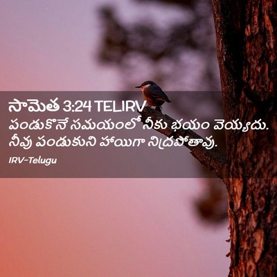Picture 02 - సామెత 3:24 TELIRV - పండుకొనే సమయంలో - Bible Verse Picture