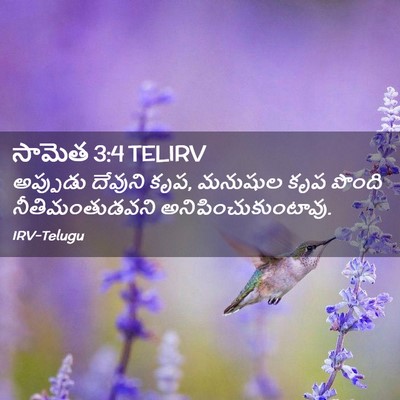 Picture 02 - సామెత 3:4 TELIRV - అప్పుడు దేవుని - Bible Verse Picture