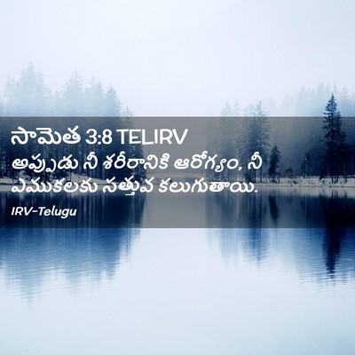 Picture 02 - సామెత 3:8 TELIRV - అప్పుడు నీ - Bible Verse Picture