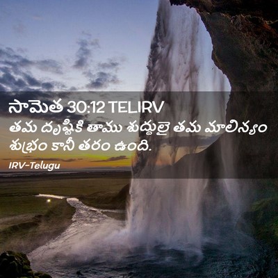 Picture 02 - సామెత 30:12 TELIRV - తమ దృష్టికి తాము - Bible Verse Picture