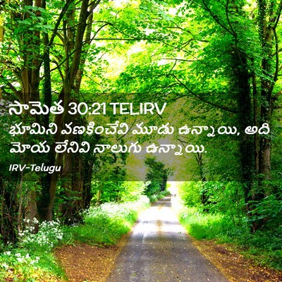 Picture 02 - సామెత 30:21 TELIRV - భూమిని వణకించేవి - Bible Verse Picture