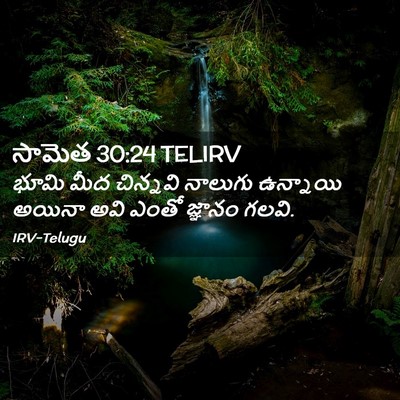 Picture 02 - సామెత 30:24 TELIRV - భూమి మీద చిన్నవి - Bible Verse Picture