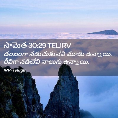 Picture 02 - సామెత 30:29 TELIRV - డంబంగా - Bible Verse Picture