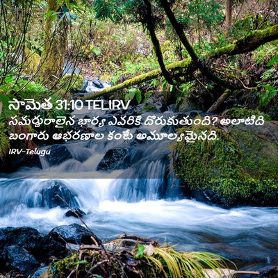 Picture 02 - సామెత 31:10 TELIRV - సమర్థురాలైన భార్య - Bible Verse Picture