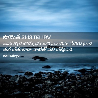 Picture 02 - సామెత 31:13 TELIRV - ఆమె గొర్రె - Bible Verse Picture