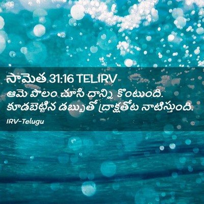 Picture 02 - సామెత 31:16 TELIRV - ఆమె పొలం చూసి - Bible Verse Picture