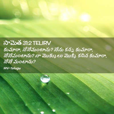 Picture 02 - సామెత 31:2 TELIRV - కుమారా, - Bible Verse Picture