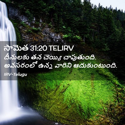 Picture 02 - సామెత 31:20 TELIRV - దీనులకు తన చెయ్యి - Bible Verse Picture
