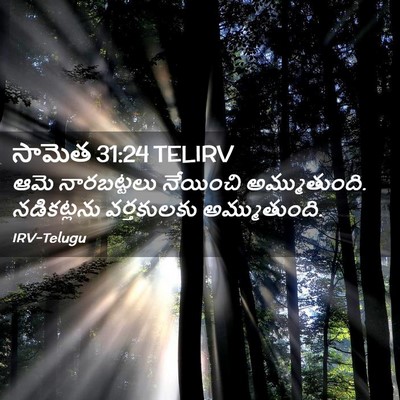 Picture 02 - సామెత 31:24 TELIRV - ఆమె నారబట్టలు - Bible Verse Picture