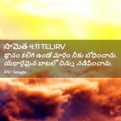 Picture 02 - సామెత 4:11 TELIRV - జ్ఞానం కలిగి ఉండే - Bible Verse Picture
