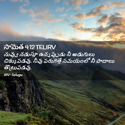 Picture 02 - సామెత 4:12 TELIRV - నువ్వు నడుస్తూ - Bible Verse Picture
