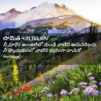Picture 02 - సామెత 4:21 TELIRV - నీ మార్గం అంతటిలో - Bible Verse Picture