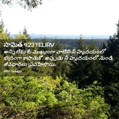 Picture 02 - సామెత 4:23 TELIRV - అన్నిటికంటే - Bible Verse Picture