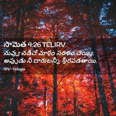 Picture 02 - సామెత 4:26 TELIRV - నువ్వు నడిచే - Bible Verse Picture