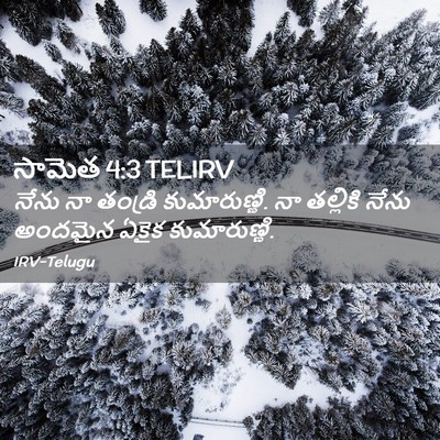 Picture 02 - సామెత 4:3 TELIRV - నేను నా తండ్రి - Bible Verse Picture