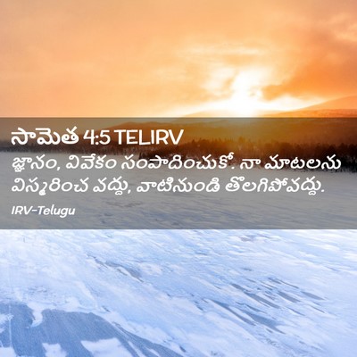 Picture 02 - సామెత 4:5 TELIRV - జ్ఞానం, వివేకం - Bible Verse Picture
