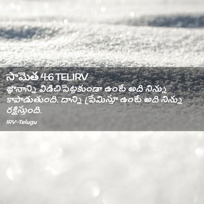 Picture 02 - సామెత 4:6 TELIRV - జ్ఞానాన్ని - Bible Verse Picture