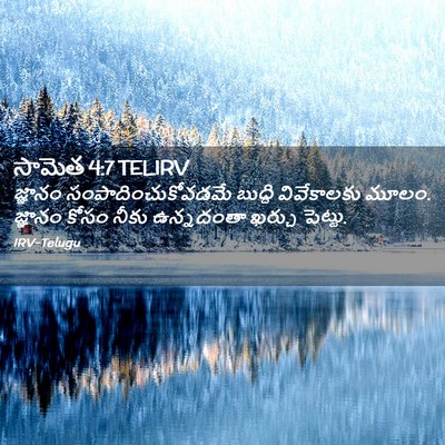 Picture 02 - సామెత 4:7 TELIRV - జ్ఞానం - Bible Verse Picture