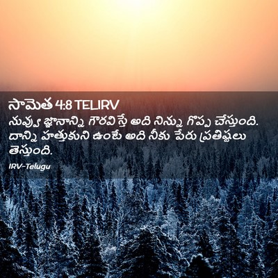 Picture 02 - సామెత 4:8 TELIRV - నువ్వు జ్ఞానాన్ని - Bible Verse Picture