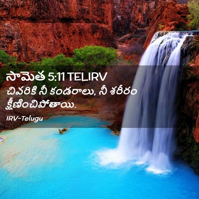 Picture 02 - సామెత 5:11 TELIRV - చివరికి నీ - Bible Verse Picture