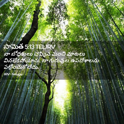 Picture 02 - సామెత 5:13 TELIRV - నా బోధకులు - Bible Verse Picture