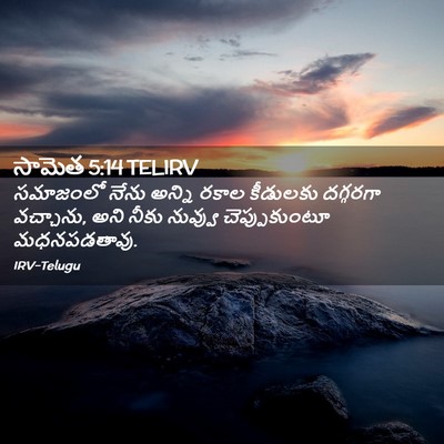 Picture 02 - సామెత 5:14 TELIRV - సమాజంలో నేను - Bible Verse Picture