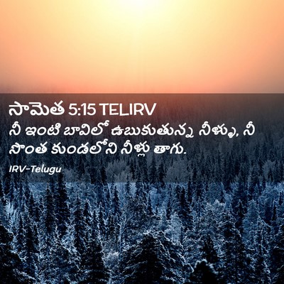 Picture 02 - సామెత 5:15 TELIRV - నీ ఇంటి బావిలో - Bible Verse Picture