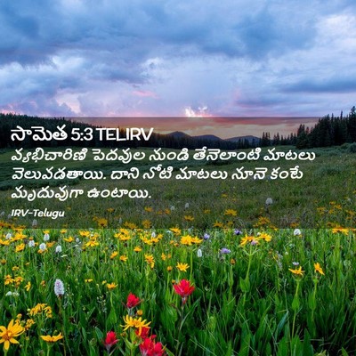 Picture 02 - సామెత 5:3 TELIRV - వ్యభిచారిణి - Bible Verse Picture