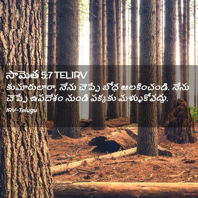 Picture 02 - సామెత 5:7 TELIRV - కుమారులారా, నేను - Bible Verse Picture